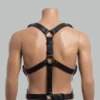 Full leather body harness back view with Y-strap, two D-rings, vertical connector, and metal roller buckles at waist
